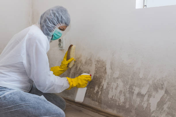 Best Residential Mold Inspection & Testing  in Fairview, OR